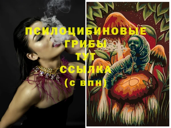 шишки Алексеевка