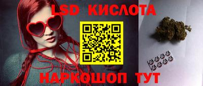 гидра Заводоуковск