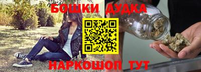гидра Заводоуковск