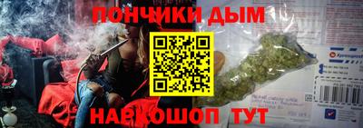 гидра Заводоуковск