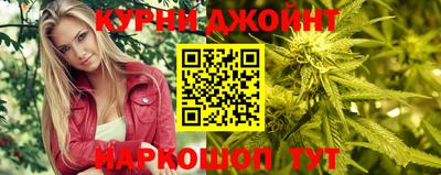 гидра Заводоуковск