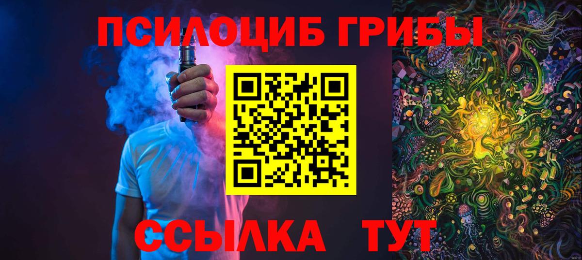 Магадан  где найти   Галлюциногенные грибы прущие грибы  Вход с VPN  Псилоцибиновые грибы MAGIC MUSHROOMS 